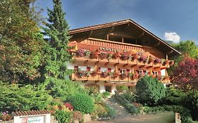 Hotel Pension Alpenhof À 3*